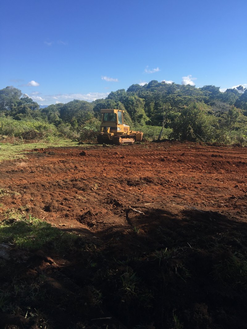 The Krakatoa deposit, Atherton Tablelands — surface humate exposed at the working face