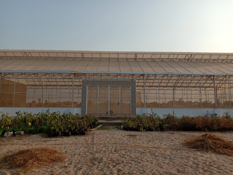 The glasshouse at the Plant Protection Centre, Ban Nahai, Vientiane